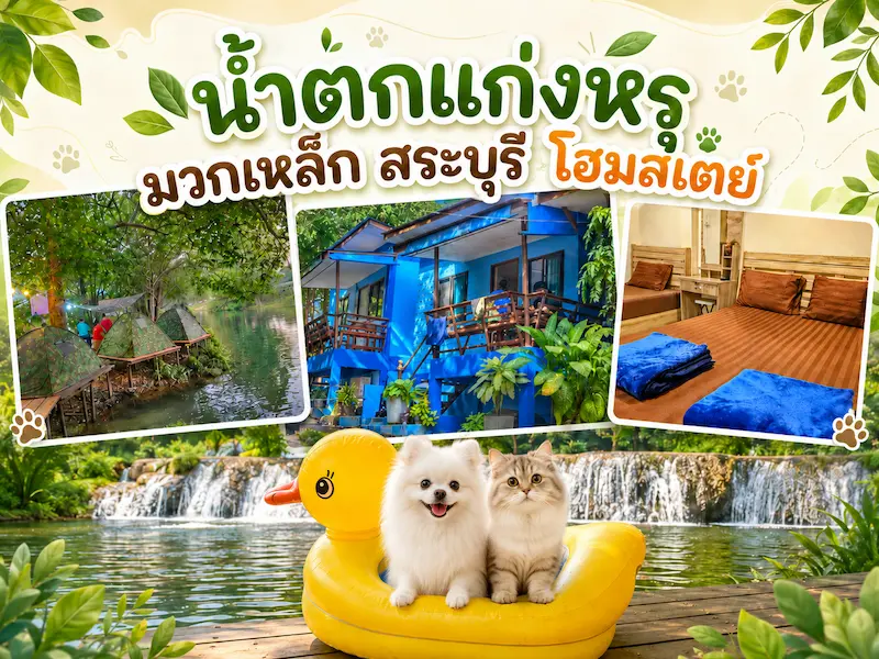 น้ำตกแก่งหรุ-มวกเหล็ก-สระบุรี-หมาพักได้.webp