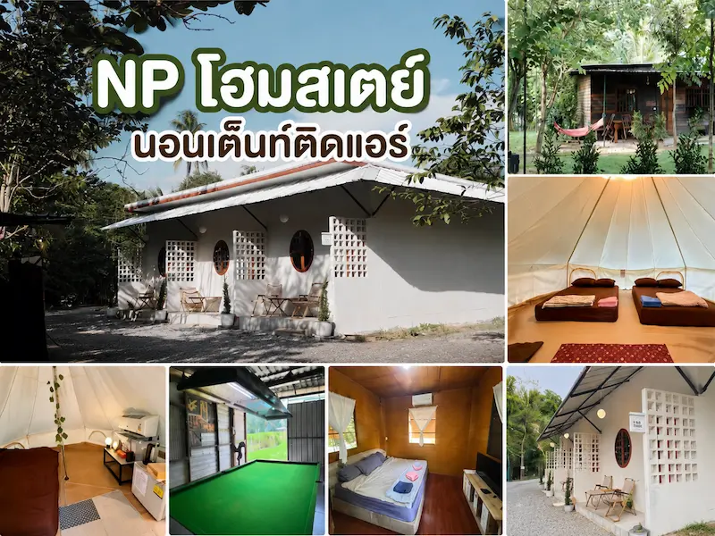NP-โฮมสเตย์-สระบุรีหมาพักได้.webp