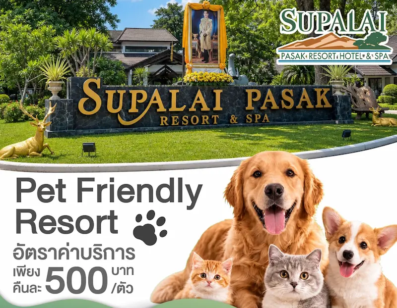 Supalai-Pasak-Resort-ใกล้เขาใหญ่-สระบุรี-หมาพักได้-1.webp