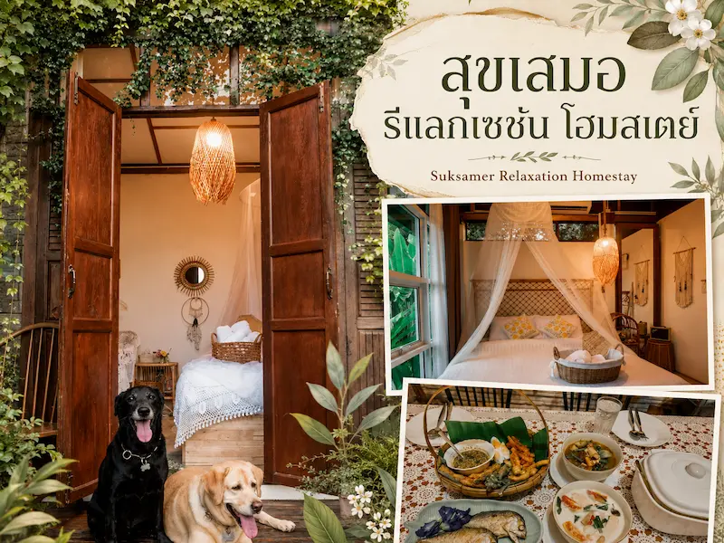 16 ที่พักสุโขทัย Pet Friendly หมาแมวพักได้ มีที่พักหมาใหญ่ เที่ยวเมืองเก่า–ศรีสัชนาลัย