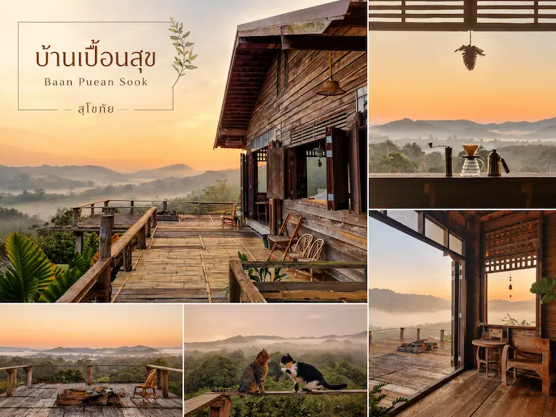 16 ที่พักสุโขทัย Pet Friendly หมาแมวพักได้ มีที่พักหมาใหญ่ เที่ยวเมืองเก่า–ศรีสัชนาลัย