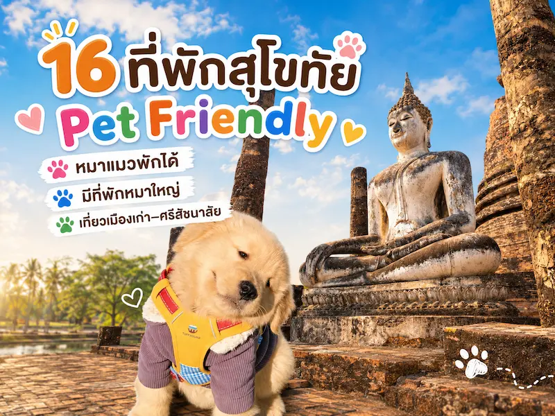 16 ที่พักสุโขทัย Pet Friendly ใกล้อุทยานประวัติศาสตร์สุโขทัย เที่ยวเมืองเก่า–ศรีสัชนาลัย 2569