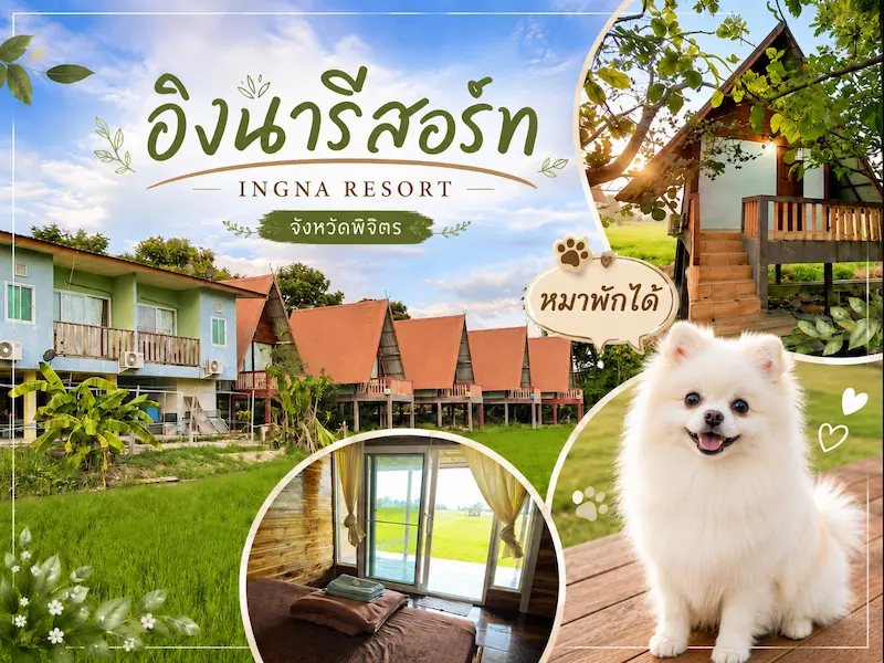 อิงนารีสอร์ท-พิจิตร-หมาพักได้.webp