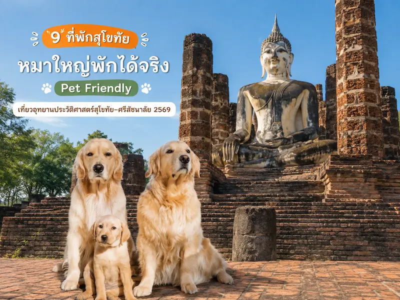 9 ที่พักสุโขทัย หมาใหญ่พักได้จริง Pet Friendly เที่ยวอุทยานประวัติศาสตร์สุโขทัย–ศรีสัชนาลัย 2569