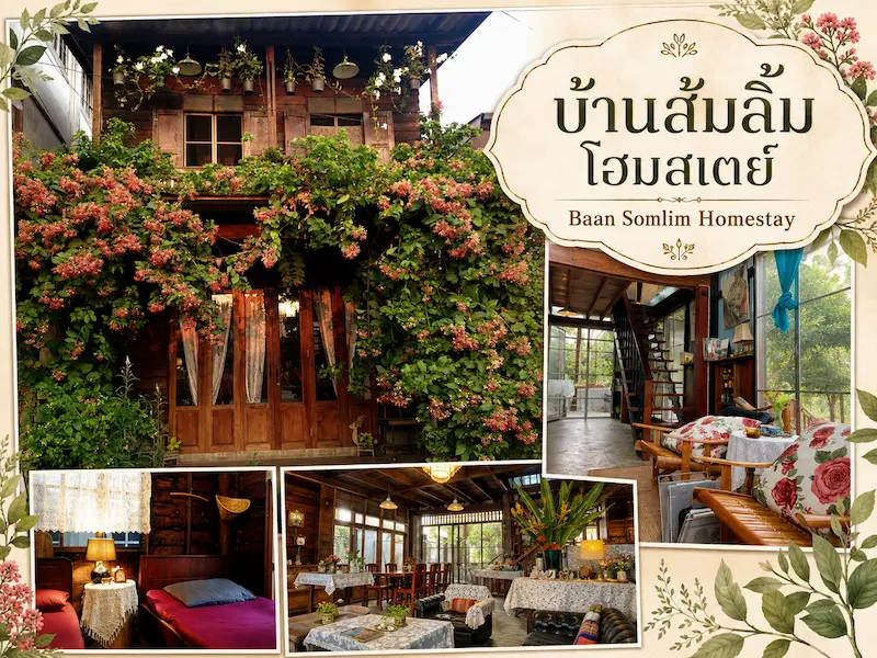 Baan-Somlim-Homestay-สุโขทัยหมาพักได้.webp