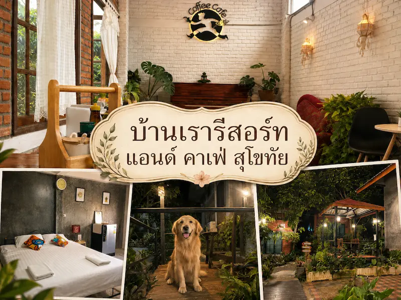 บ้านเรารีสอร์ท-แอนด์-คาเฟ่-สุโขทัย-หมาพักได้.webp