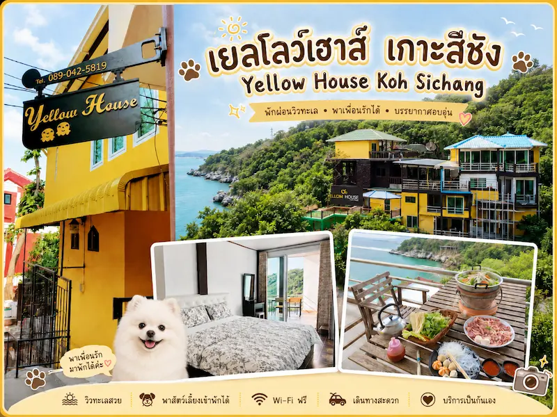 ภาพประกอบ:เยลโลว์เฮาสเกาะสีชัง หมาพักได้ Pet Friendly บังกะโลวิวทะเล ชลบุรี 2569