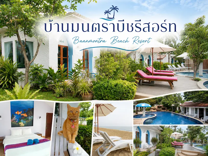 11 ที่พักบ้านกรูด หมาพักได้ Pet Friendly ติดทะเล มีที่พักหมาใหญ่ ประจวบฯ 