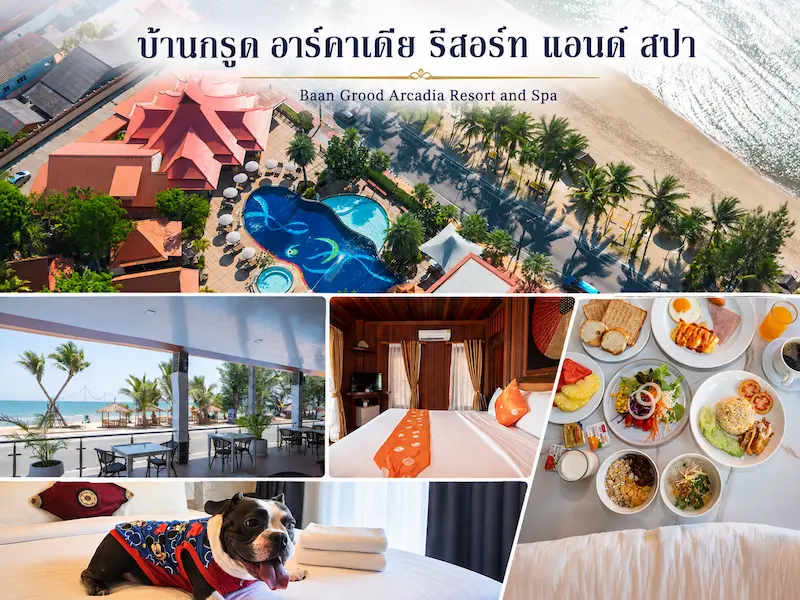 11 ที่พักบ้านกรูด หมาพักได้ Pet Friendly ติดทะเล มีที่พักหมาใหญ่ ประจวบฯ 