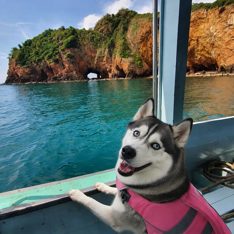 11 ที่พักบ้านกรูด หมาพักได้ Pet Friendly ติดทะเล มีที่พักหมาใหญ่ ประจวบฯ 