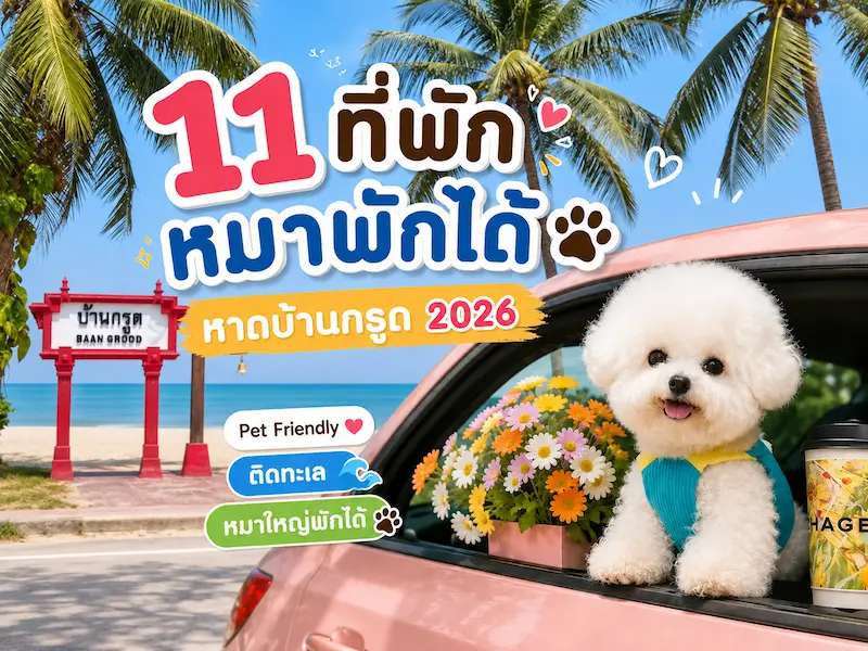 11 ที่พักบ้านกรูด หมาพักได้ Pet Friendly ติดทะเล มีที่พักหมาใหญ่ ประจวบฯ 