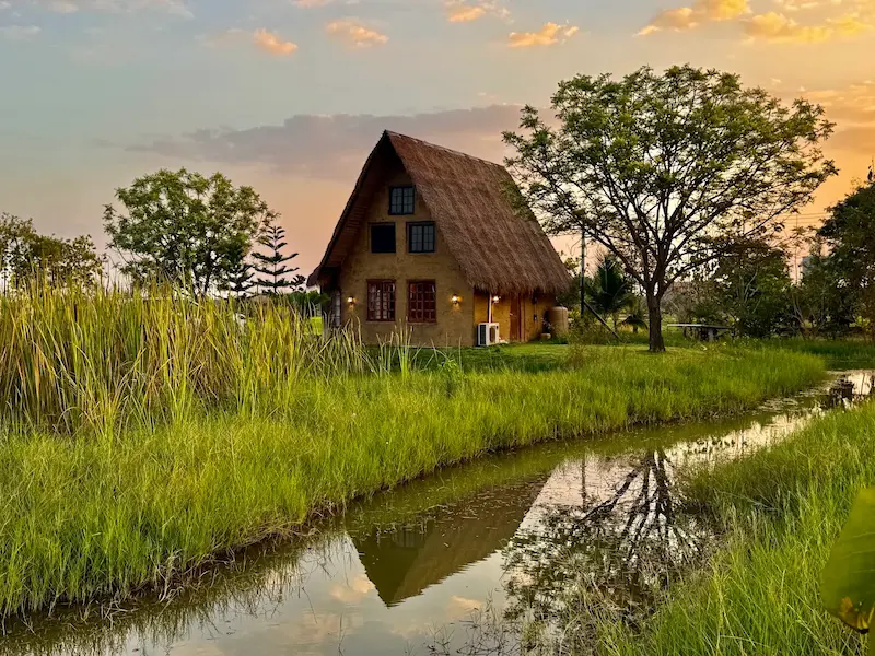 บ้านอิ่มใจ-พยุหะคีรี นครสวรรค์-หมาใหญ่พักได้-5.webp