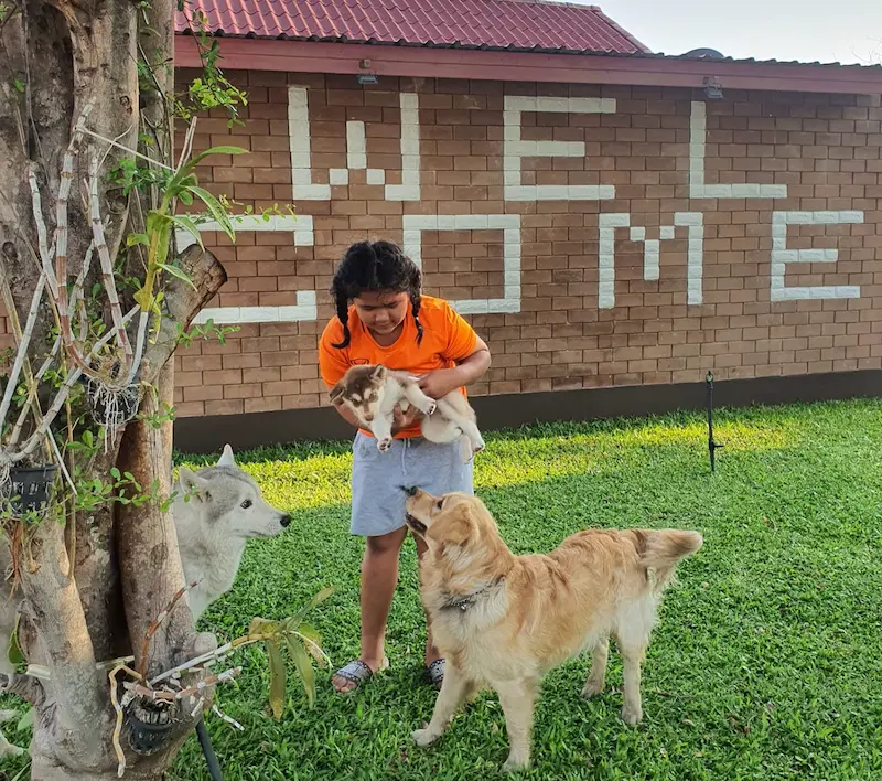 พาราไดซ์ รีสอร์ท มหาสารคาม หมาพักได้ Pet Friendly รับหมาใหญ่