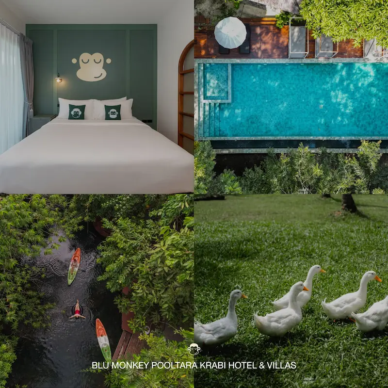 Blu-Monkey-Pooltara-Krabi-Pet-Friendly-12.webp
