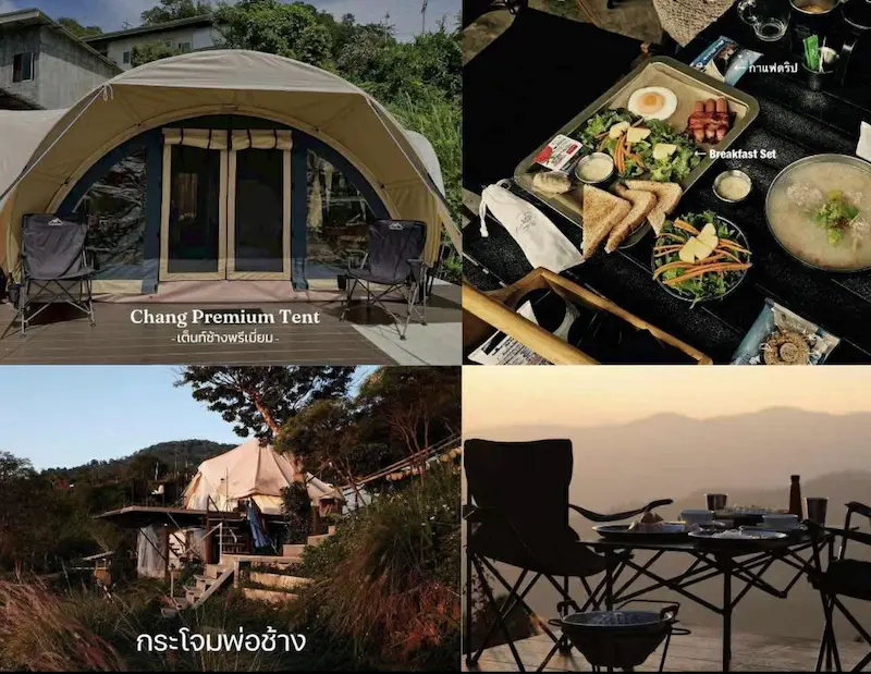 8 ที่พักดอยช้างหมาพักได้ Pet Friendly เชียงราย วิวภูเขา อัปเดต 2569