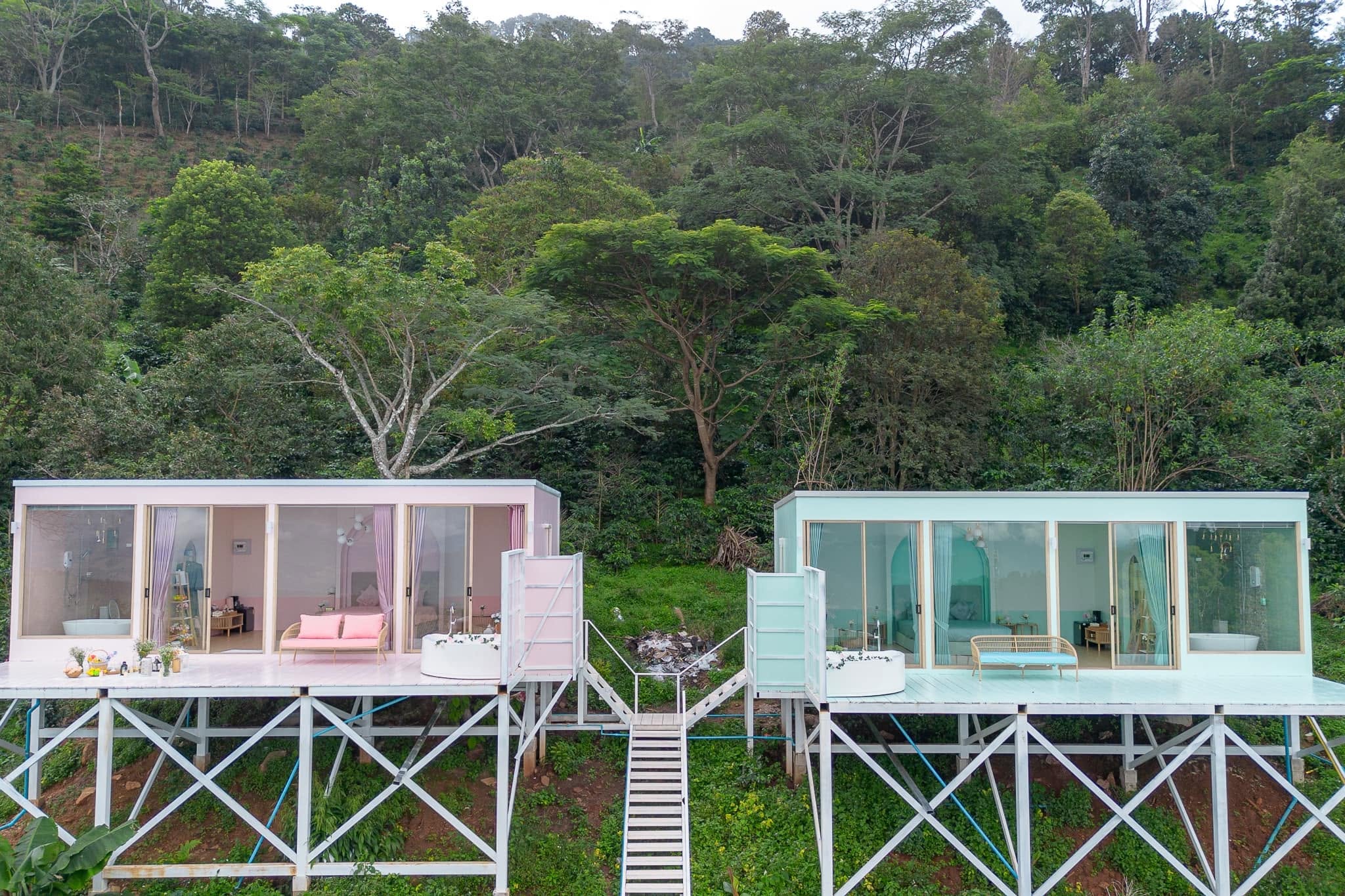 ที่พักหมาแมวพักได้ เชียงราย U SKY ดอยช้าง พาน้องหมาแมว Afternoon Tea ชมวิวสวยๆกัน