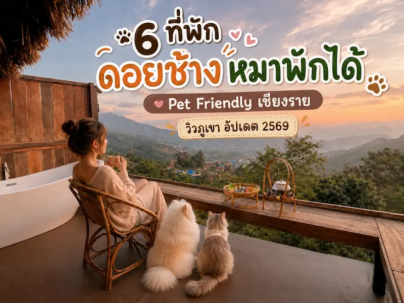 ที่พักดอยช้างหมาพักได้อัพเดท2569.webp