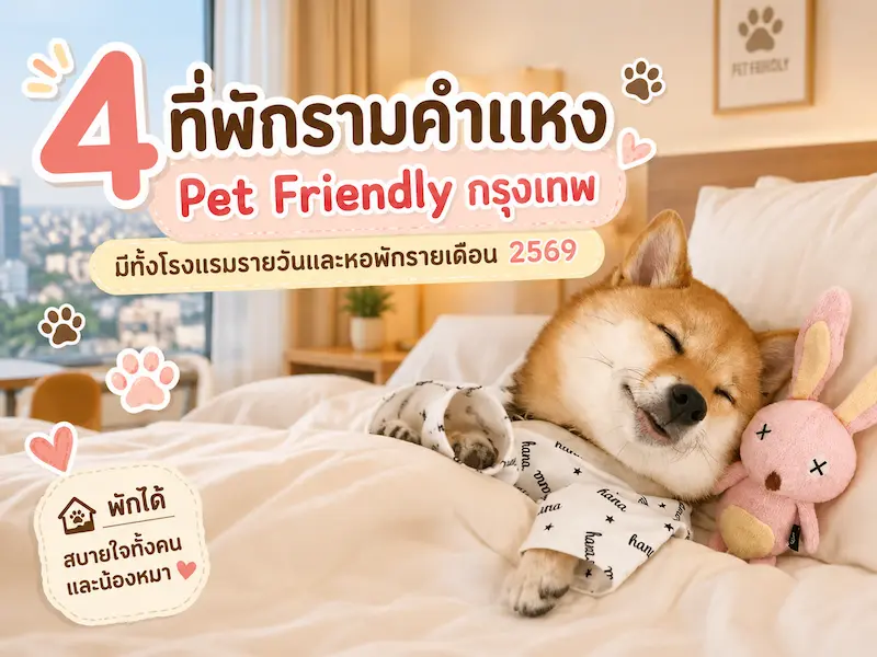 ภาพประกอบ:4 ที่พักรามคำแหง Pet Friendly กรุงเทพ มีทั้งโรงแรมรายวันและหอพักรายเดือน 2569