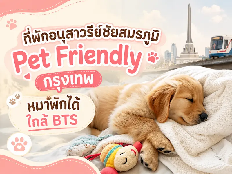 ที่พักอนุสาวรีย์ชัยสมรภูมิ Pet Friendly กรุงเทพ หมาพักได้ ใกล้ BTS