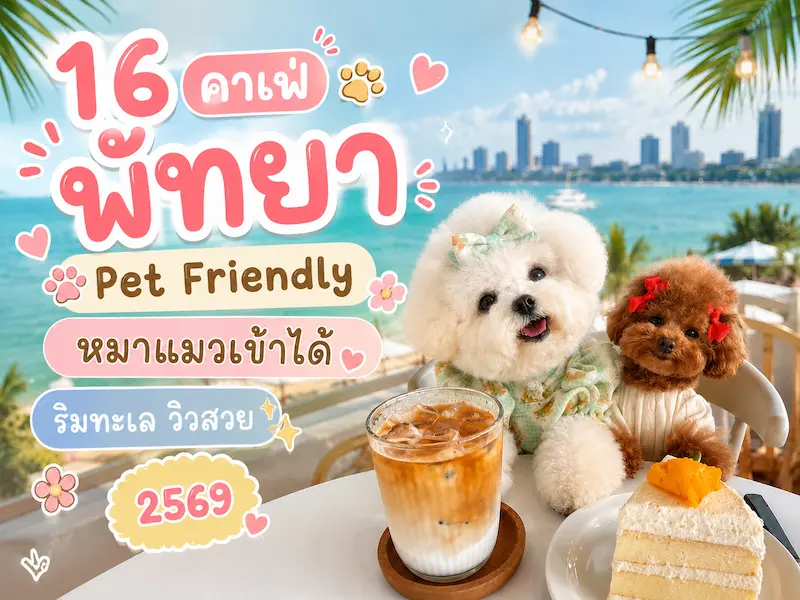 ภาพประกอบ:16 คาเฟ่พัทยา Pet Friendly หมาแมวเข้าได้ 2569 ริมทะเล วิวสวย