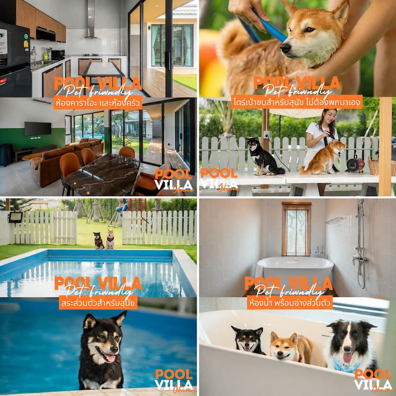Okane Pet Friendly Pool Villa สระบุรี พูลวิลล่าหมาพักได้ทุกขนาด หมาเล่นสระว่ายน้ำได้ด้วย
