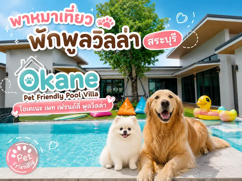 Okane Pet Friendly Pool Villa สระบุรี พูลวิลล่าหมาพักได้ทุกขนาด หมาเล่นสระว่ายน้ำได้ด้วย