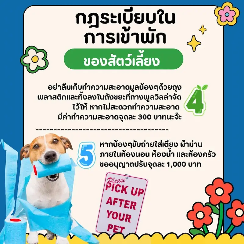Okane Pet Friendly Pool Villa สระบุรี พูลวิลล่าหมาพักได้ทุกขนาด หมาเล่นสระว่ายน้ำได้ด้วย
