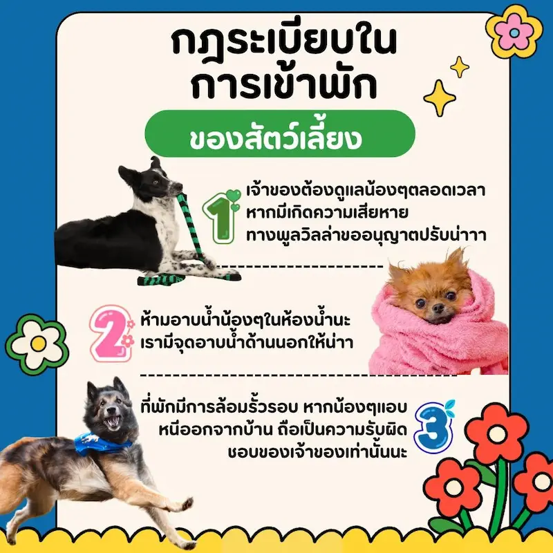 Okane Pet Friendly Pool Villa สระบุรี พูลวิลล่าหมาพักได้ทุกขนาด หมาเล่นสระว่ายน้ำได้ด้วย