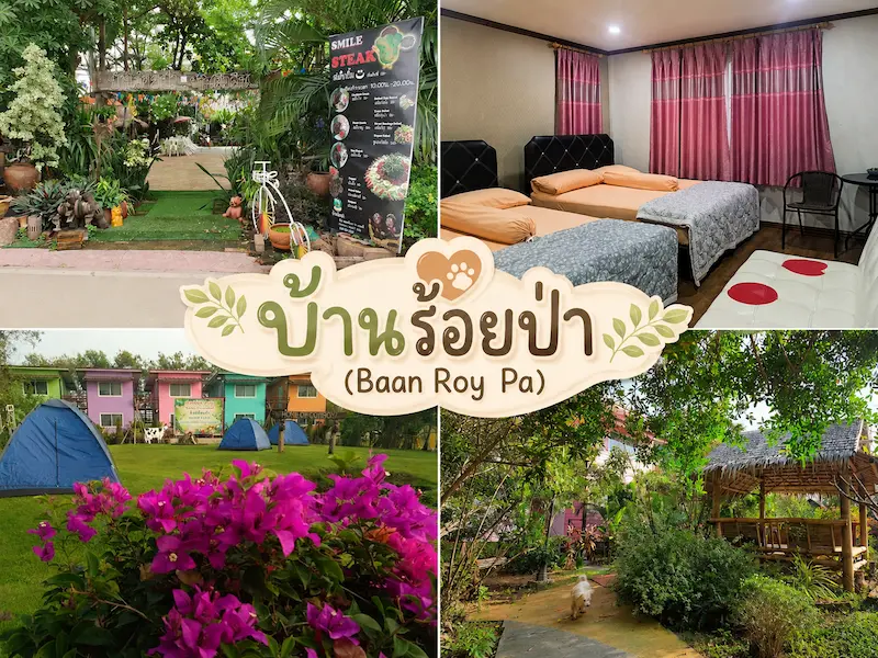 10 ที่พักปทุมธานี รังสิต ดอนเมือง เมืองทองธานี หมาพักได้ Pet Friendly 