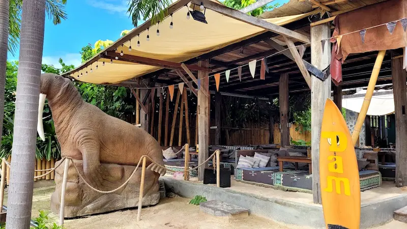 16 คาเฟ่พัทยา Pet Friendly หมาแมวเข้าได้ 2569 ริมทะเล วิวสวย