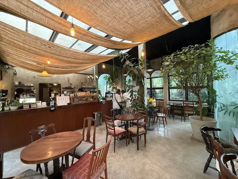 16 คาเฟ่พัทยา Pet Friendly หมาแมวเข้าได้ 2569 ริมทะเล วิวสวย