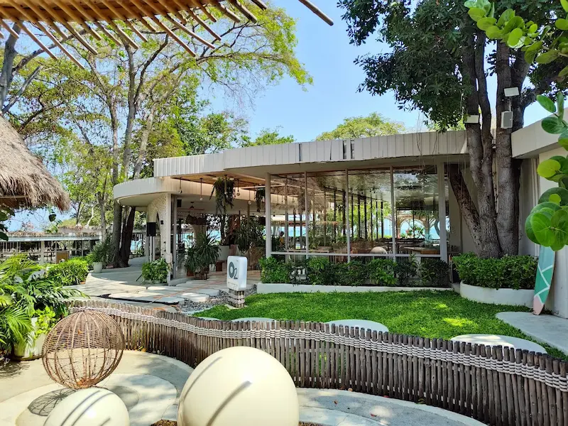 16 คาเฟ่พัทยา Pet Friendly หมาแมวเข้าได้ 2569 ริมทะเล วิวสวย