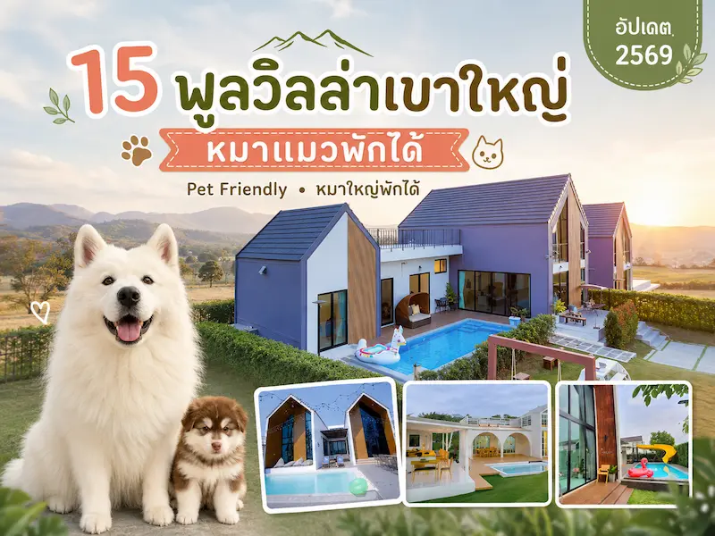 ภาพประกอบ:15 พูลวิลล่าเขาใหญ่หมาแมวพักได้ Pet Friendly หมาใหญ่พักได้ อัปเดต 2569