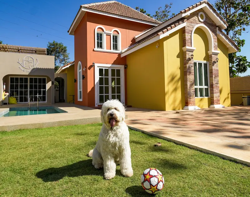 15 พูลวิลล่าเขาใหญ่หมาแมวพักได้ Pet Friendly หมาใหญ่พักได้ อัปเดต 2569