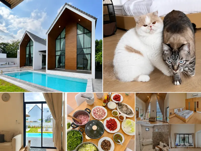 ASTRID-PoolVilla-KhaoYai-เขาใหญ่หมาแมวพักได้.webp