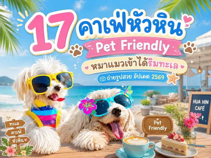 ภาพประกอบ:17 คาเฟ่หัวหิน Pet Friendly หมาแมวเข้าได้ริมทะเล ถ่ายรูปสวย อัปเดต 2569
