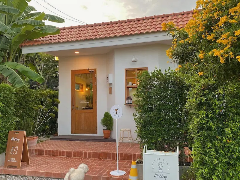 17 คาเฟ่หัวหิน Pet Friendly หมาแมวเข้าได้ริมทะเล ถ่ายรูปสวย