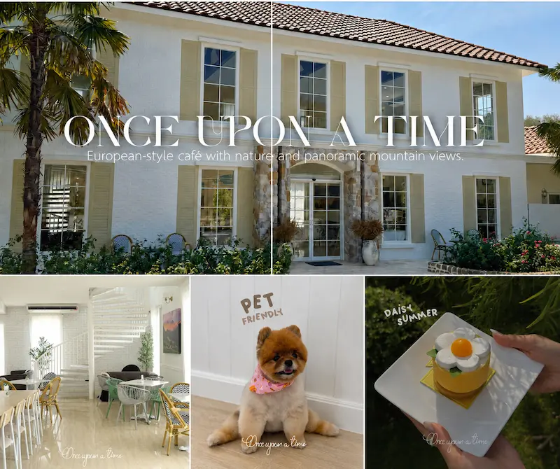 16 คาเฟ่หัวหิน Pet Friendly หมาแมวเข้าได้ริมทะเล ถ่ายรูปสวย