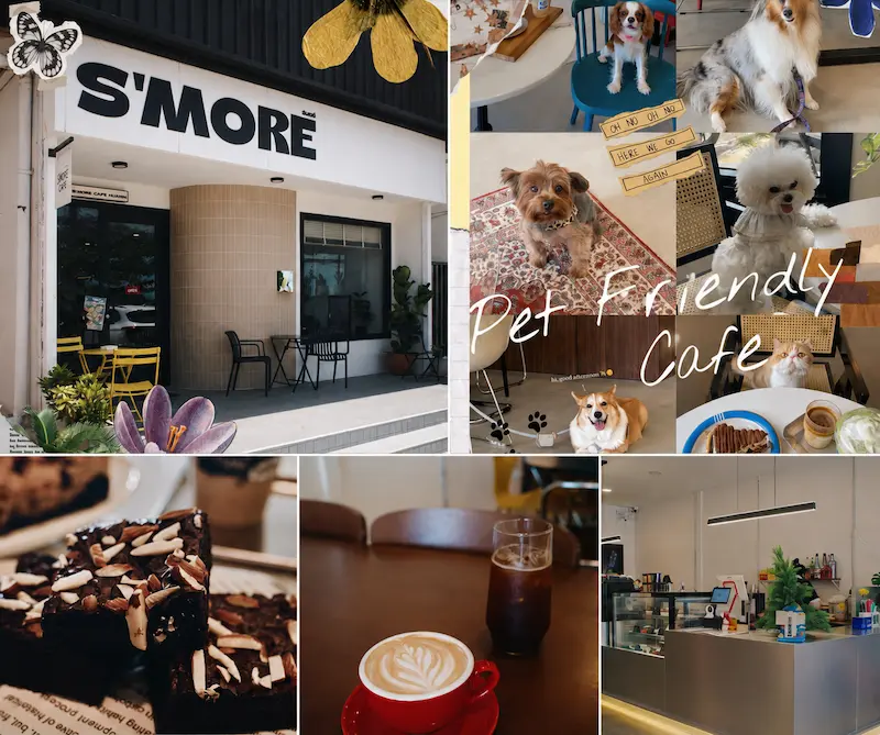16 คาเฟ่หัวหิน Pet Friendly หมาแมวเข้าได้ริมทะเล ถ่ายรูปสวย