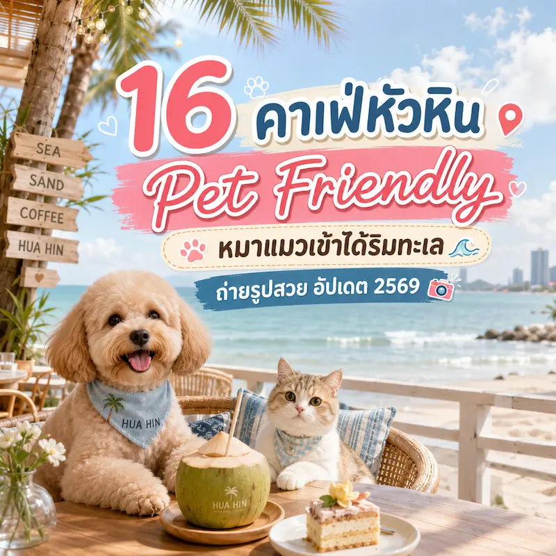 16 คาเฟ่หัวหิน Pet Friendly หมาแมวเข้าได้ริมทะเล ถ่ายรูปสวย