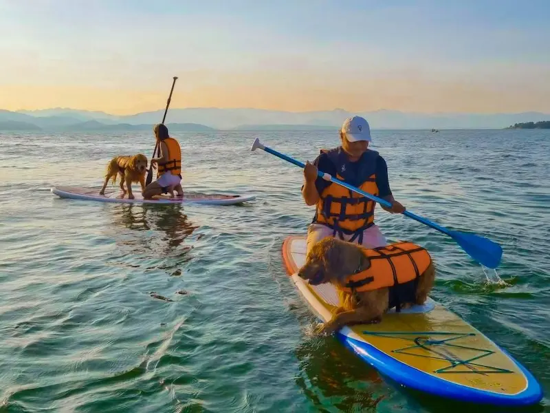 ภาพประกอบ:AVA Kanchanaburi ที่พักกาญจนบุรี Pet Friendly ริมเขื่อนศรีนครินทร์ หมาใหญ่พักได้