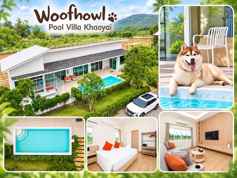 ภาพประกอบ:16 พูลวิลล่าเขาใหญ่หมาแมวพักได้ Pet Friendly หมาใหญ่พักได้ อัปเดต 2569