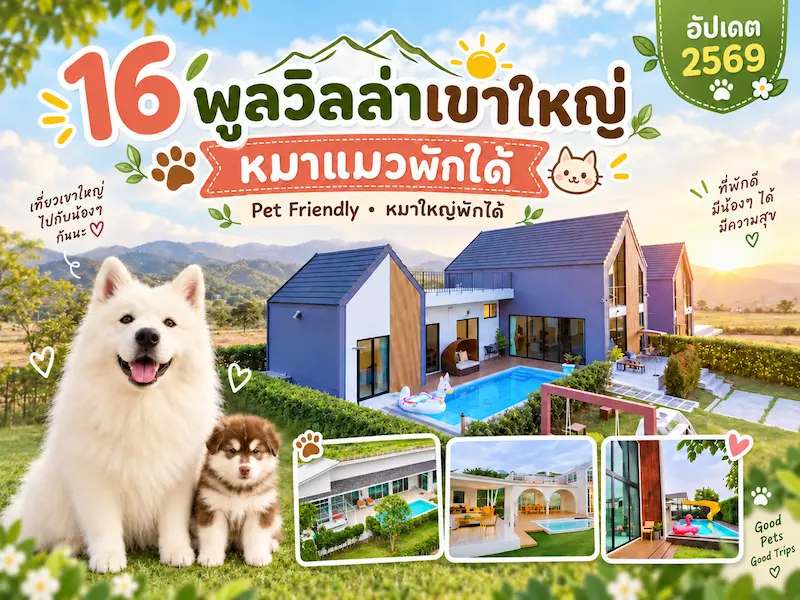 16 พูลวิลล่าเขาใหญ่หมาแมวพักได้ Pet Friendly หมาใหญ่พักได้ อัปเดต 2569