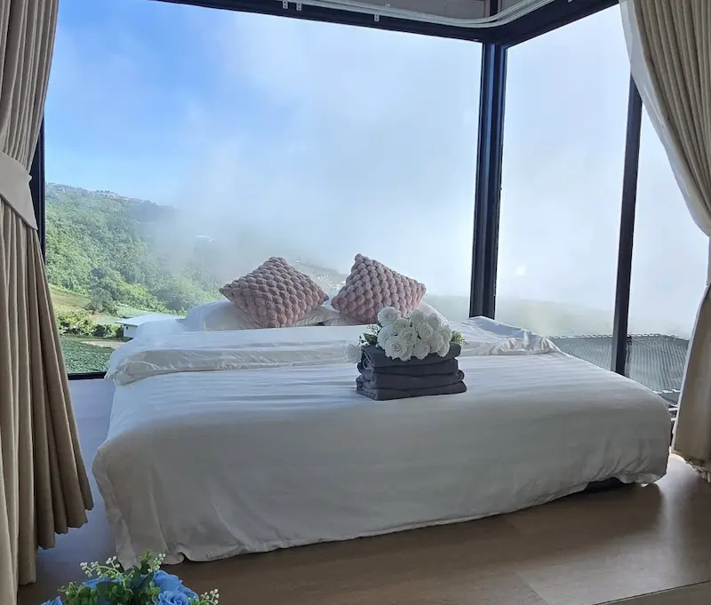 30 ที่พักภูทับเบิก Pet Friendly หมาใหญ่พักได้ ฟรีก็มี วิวทะเลหมอก 2569