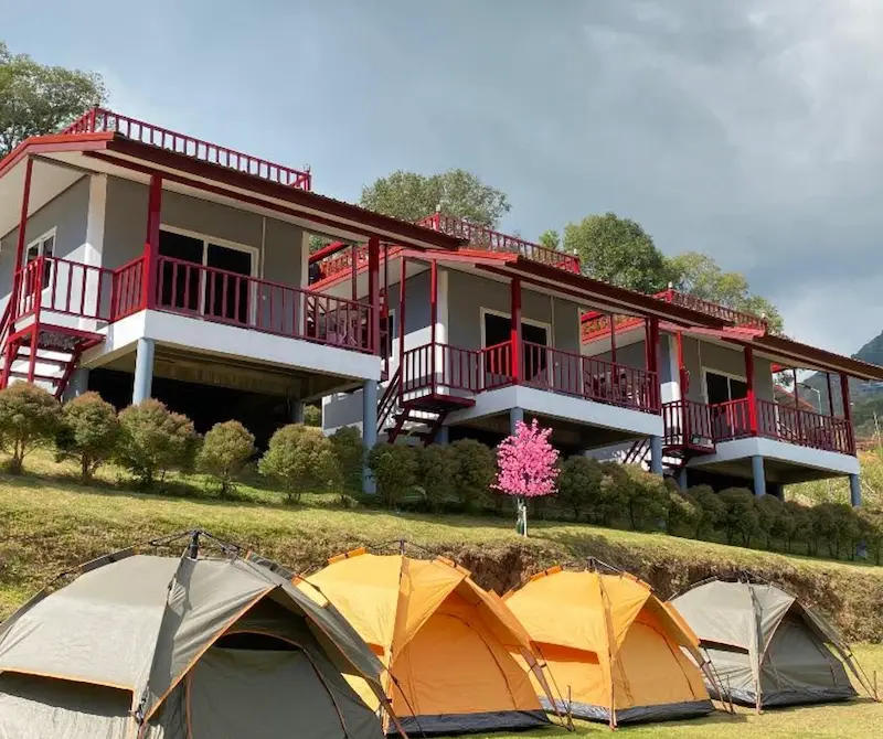 30 ที่พักภูทับเบิก Pet Friendly หมาใหญ่พักได้ ฟรีก็มี วิวทะเลหมอก 2569