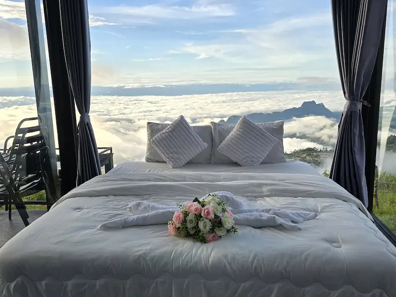 30 ที่พักภูทับเบิก Pet Friendly หมาใหญ่พักได้ ฟรีก็มี วิวทะเลหมอก 2569