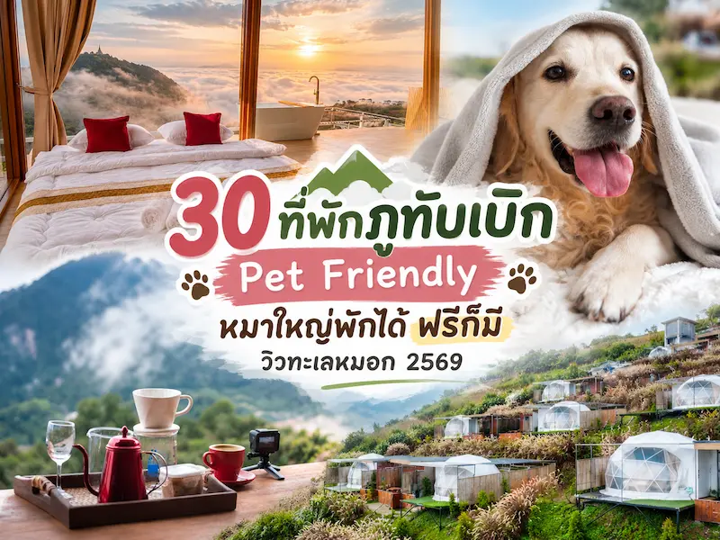 30 ที่พักภูทับเบิก Pet Friendly หมาใหญ่พักได้ ฟรีก็มี วิวทะเลหมอก 2569