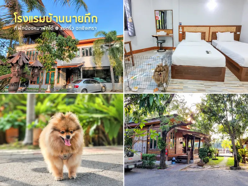 5 ที่พักใกล้วัดหลวงพ่อโสธร Pet Friendly หมาใหญ่พักได้ อัปเดต 2569