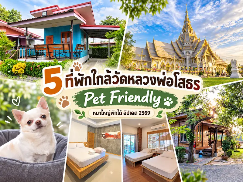 5 ที่พักใกล้วัดหลวงพ่อโสธร Pet Friendly หมาใหญ่พักได้ อัปเดต 2569
