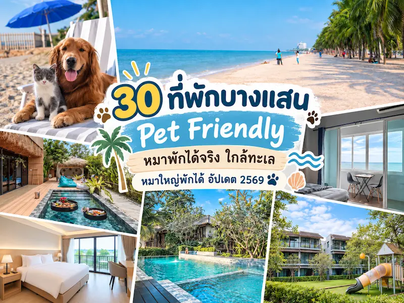 ที่พักบางแสน หมาพักได้ pet friendly